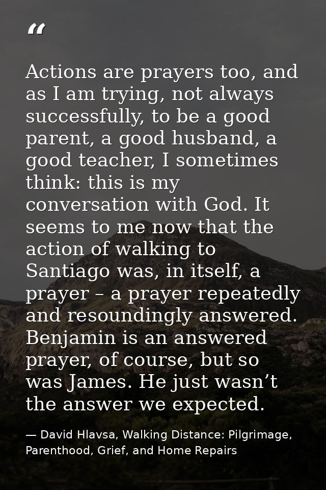 Actions are prayers too, and as I am trying, not always successfully, to be a good parent, a good husband, a good teache — David Hlavsa, Walking Distance: Pilgrimage, Parenthood, Grief, and Home Repairs