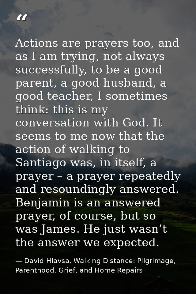 Actions are prayers too, and as I am trying, not always successfully, to be a good parent, a good husband, a good teache — David Hlavsa, Walking Distance: Pilgrimage, Parenthood, Grief, and Home Repairs