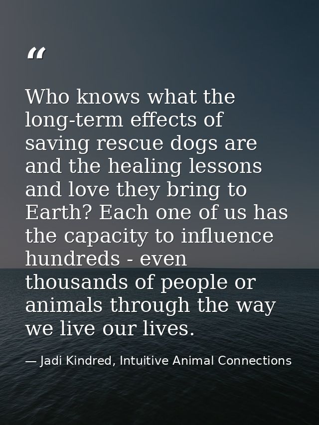 Who knows what the long-term effects of saving rescue dogs are and the healing lessons and love they bring to Earth? Eac — Jadi Kindred, Intuitive Animal Connections