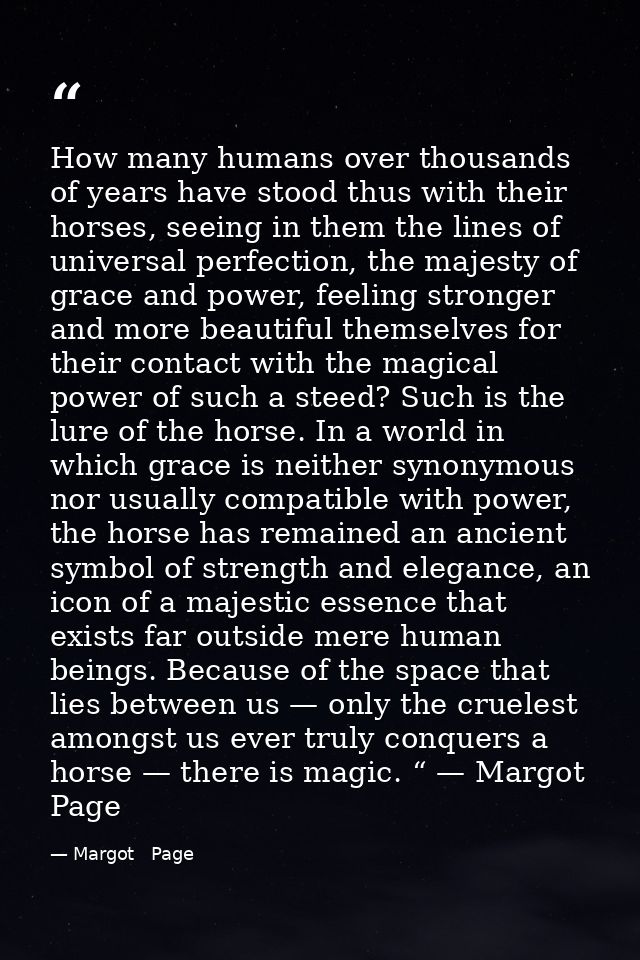 How many humans over thousands of years have stood thus with their horses, seeing in them the lines of universal perfect — Margot   Page