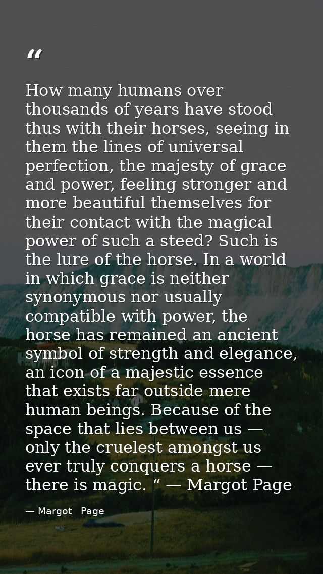 How many humans over thousands of years have stood thus with their horses, seeing in them the lines of universal perfect — Margot   Page