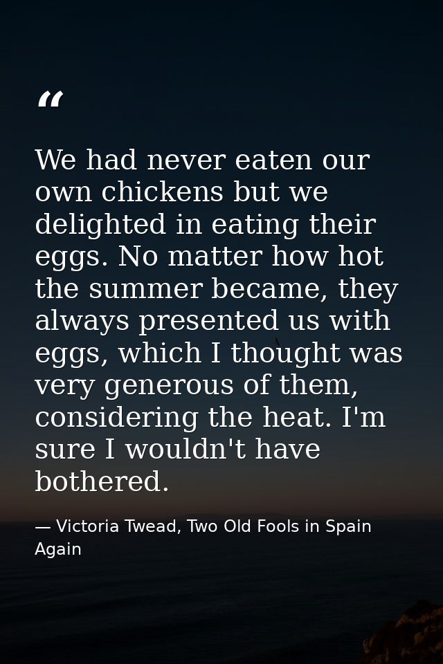 We had never eaten our own chickens but we delighted in eating their eggs. No matter how hot the summer became, they alw — Victoria Twead, Two Old Fools in Spain Again