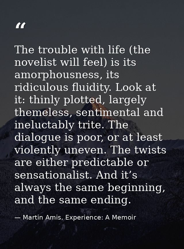 The trouble with life (the novelist will feel) is its amorphousness, its ridiculous fluidity. Look at it: thinly plotted — Martin Amis, Experience: A Memoir