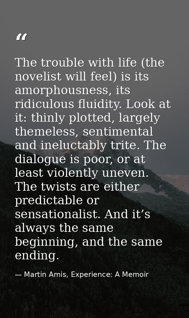 The trouble with life (the novelist will feel) is its amorphousness, its ridiculous fluidity. Look at it: thinly plotted — Martin Amis, Experience: A Memoir