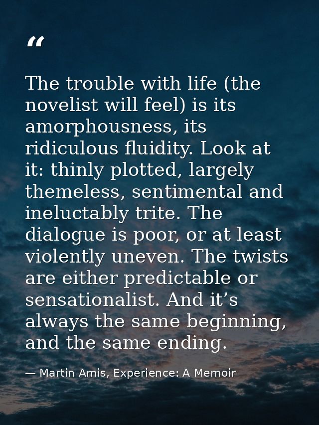 The trouble with life (the novelist will feel) is its amorphousness, its ridiculous fluidity. Look at it: thinly plotted — Martin Amis, Experience: A Memoir