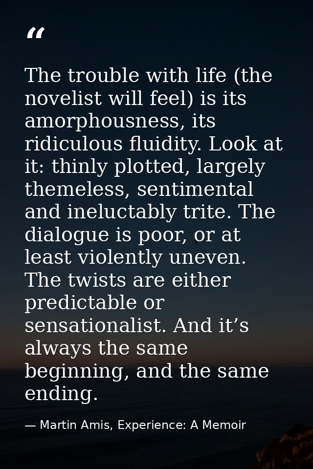 The trouble with life (the novelist will feel) is its amorphousness, its ridiculous fluidity. Look at it: thinly plotted — Martin Amis, Experience: A Memoir