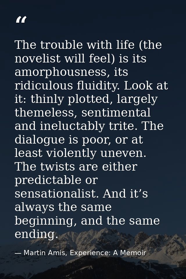 The trouble with life (the novelist will feel) is its amorphousness, its ridiculous fluidity. Look at it: thinly plotted — Martin Amis, Experience: A Memoir