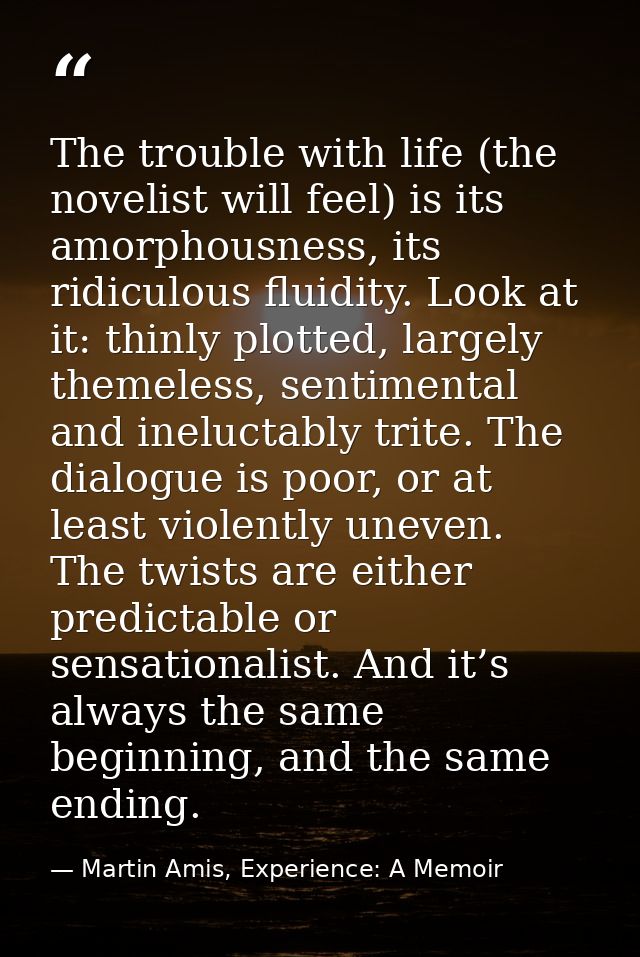 The trouble with life (the novelist will feel) is its amorphousness, its ridiculous fluidity. Look at it: thinly plotted — Martin Amis, Experience: A Memoir