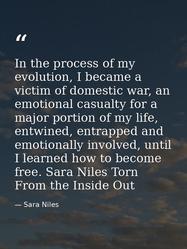 In the process of my evolution, I became a victim of domestic war, an emotional casualty for a major portion of my life, — Sara Niles