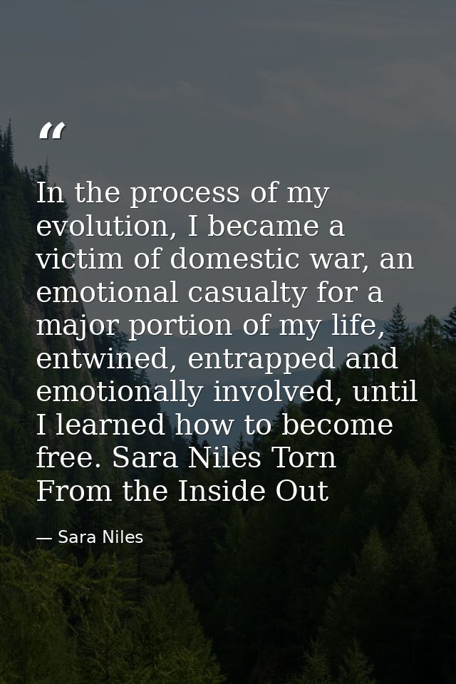In the process of my evolution, I became a victim of domestic war, an emotional casualty for a major portion of my life, — Sara Niles
