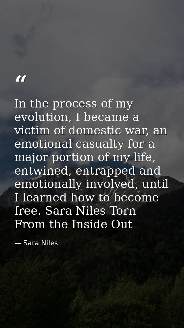 In the process of my evolution, I became a victim of domestic war, an emotional casualty for a major portion of my life, — Sara Niles