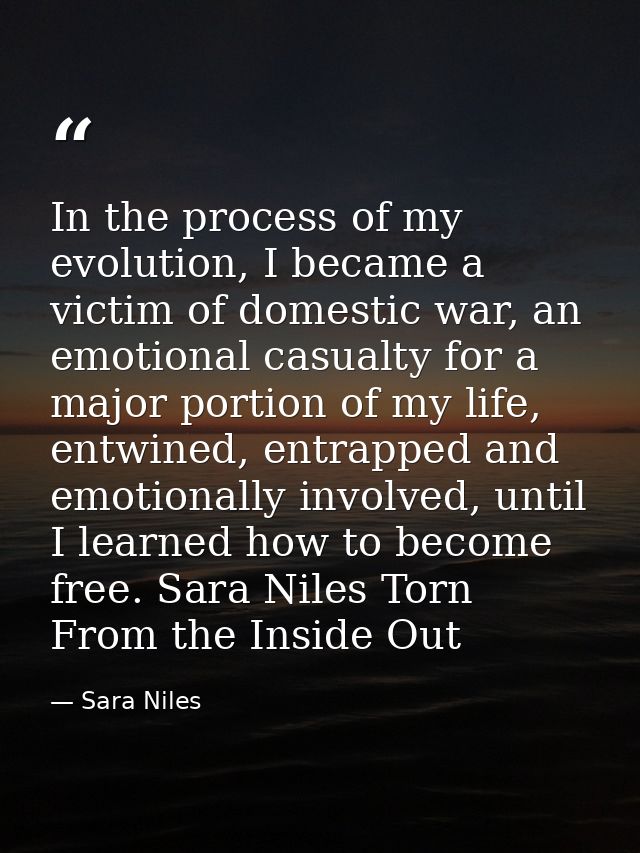 In the process of my evolution, I became a victim of domestic war, an emotional casualty for a major portion of my life, — Sara Niles