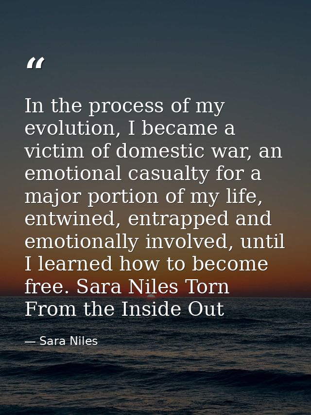 In the process of my evolution, I became a victim of domestic war, an emotional casualty for a major portion of my life, — Sara Niles