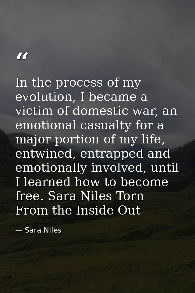 In the process of my evolution, I became a victim of domestic war, an emotional casualty for a major portion of my life, — Sara Niles