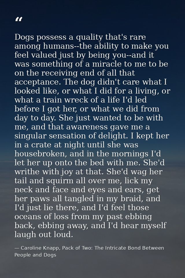 Dogs possess a quality that's rare among humans--the ability to make you feel valued just by being you--and it was somet — Caroline Knapp, Pack of Two: The Intricate Bond Between People and Dogs