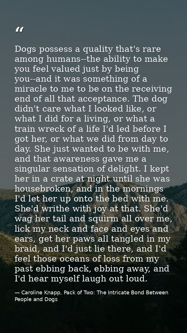 Dogs possess a quality that's rare among humans--the ability to make you feel valued just by being you--and it was somet — Caroline Knapp, Pack of Two: The Intricate Bond Between People and Dogs