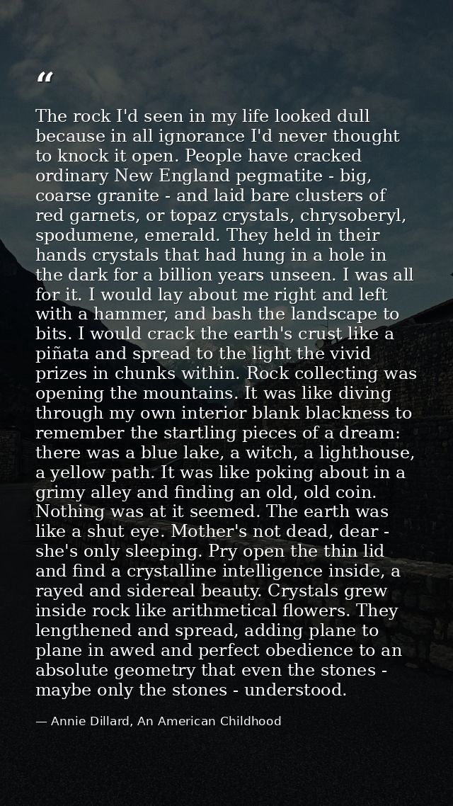 The rock I'd seen in my life looked dull because in all ignorance I'd never thought to knock it open. People have cracke — Annie Dillard, An American Childhood
