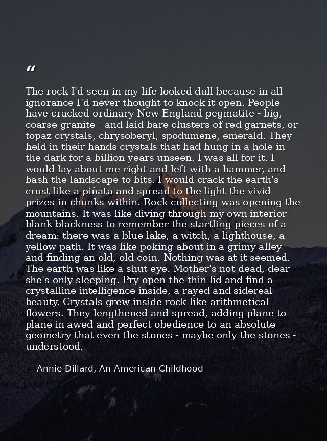 The rock I'd seen in my life looked dull because in all ignorance I'd never thought to knock it open. People have cracke — Annie Dillard, An American Childhood