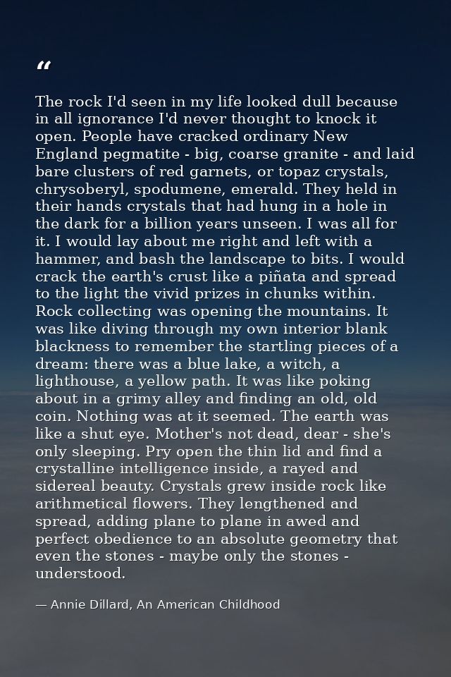 The rock I'd seen in my life looked dull because in all ignorance I'd never thought to knock it open. People have cracke — Annie Dillard, An American Childhood