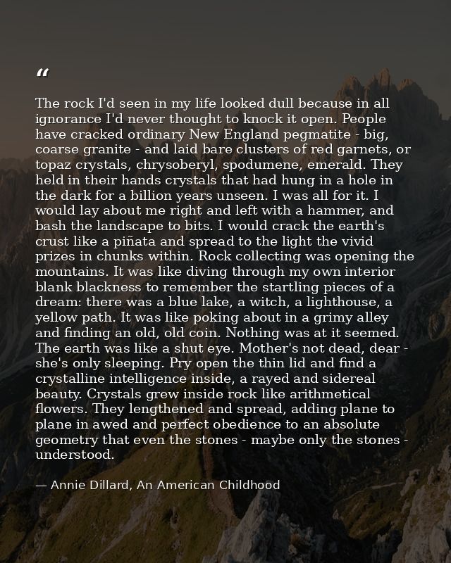 The rock I'd seen in my life looked dull because in all ignorance I'd never thought to knock it open. People have cracke — Annie Dillard, An American Childhood