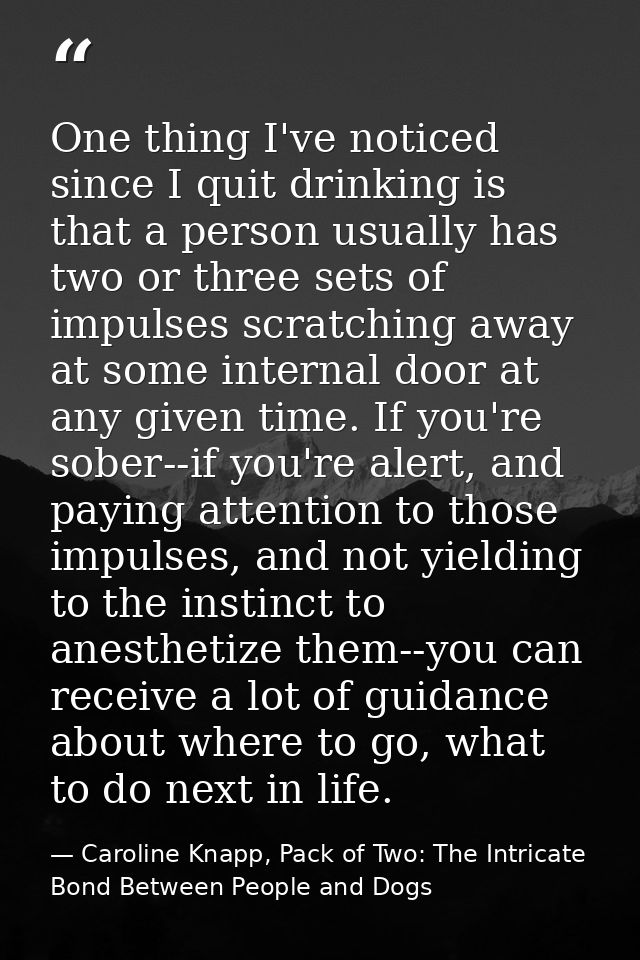One thing I've noticed since I quit drinking is that a person usually has two or three sets of impulses scratching away  — Caroline Knapp, Pack of Two: The Intricate Bond Between People and Dogs