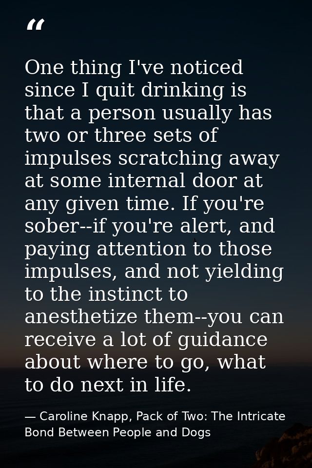 One thing I've noticed since I quit drinking is that a person usually has two or three sets of impulses scratching away  — Caroline Knapp, Pack of Two: The Intricate Bond Between People and Dogs
