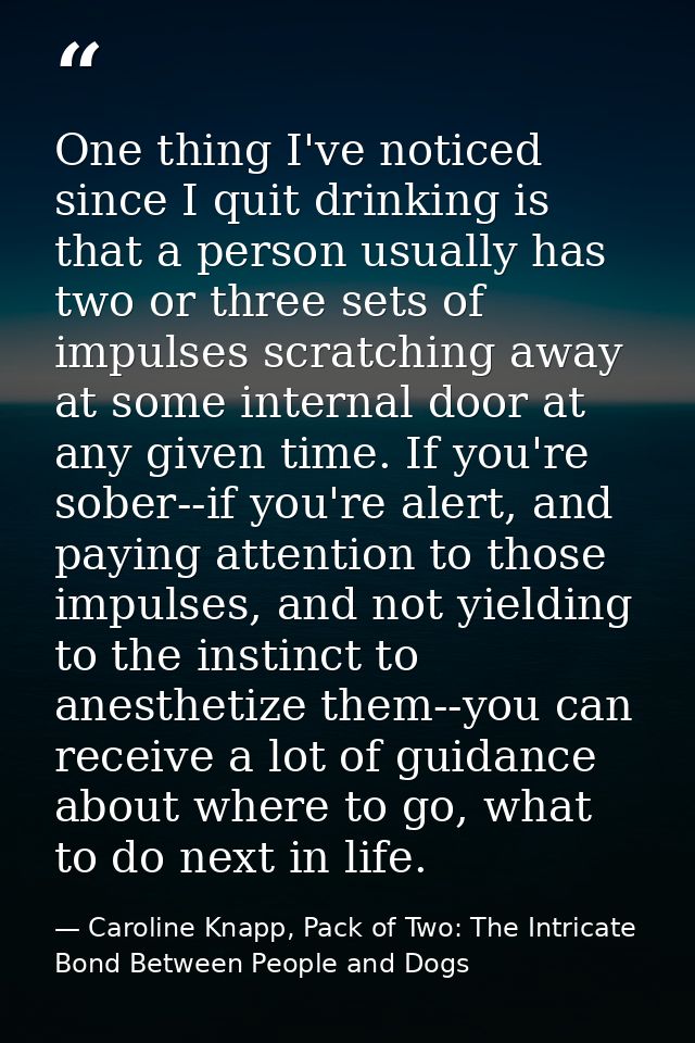 One thing I've noticed since I quit drinking is that a person usually has two or three sets of impulses scratching away  — Caroline Knapp, Pack of Two: The Intricate Bond Between People and Dogs