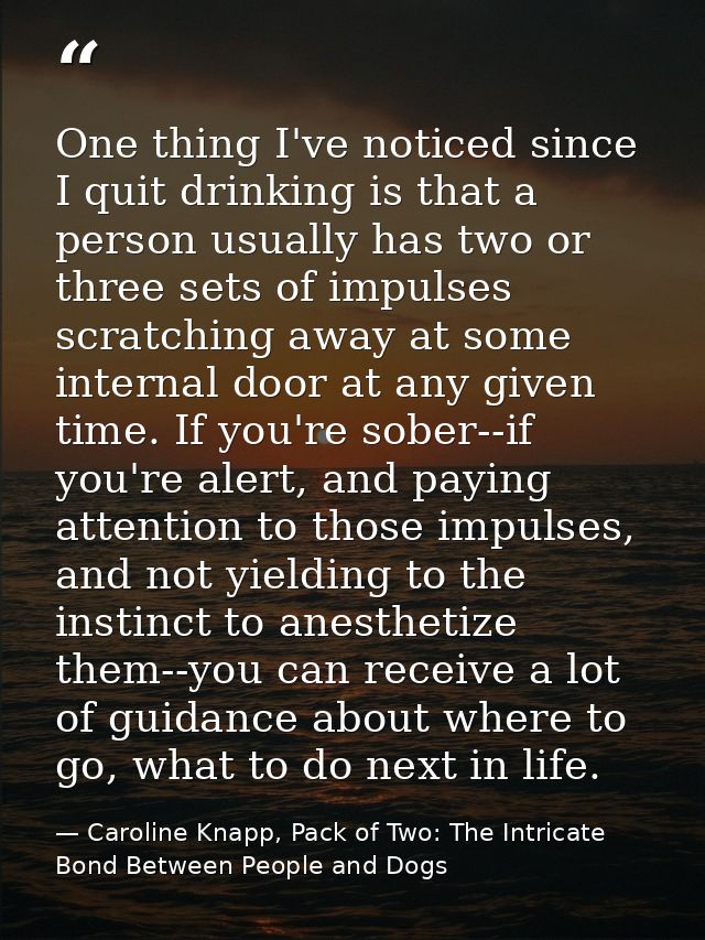 One thing I've noticed since I quit drinking is that a person usually has two or three sets of impulses scratching away  — Caroline Knapp, Pack of Two: The Intricate Bond Between People and Dogs