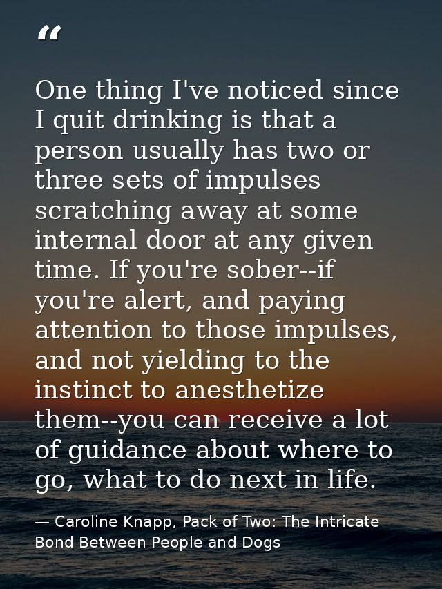 One thing I've noticed since I quit drinking is that a person usually has two or three sets of impulses scratching away  — Caroline Knapp, Pack of Two: The Intricate Bond Between People and Dogs