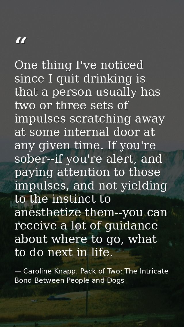One thing I've noticed since I quit drinking is that a person usually has two or three sets of impulses scratching away  — Caroline Knapp, Pack of Two: The Intricate Bond Between People and Dogs