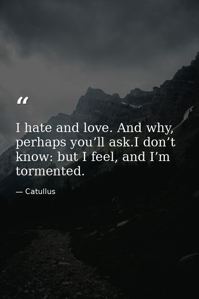 I hate and love. And why, perhaps you’ll ask.I don’t know: but I feel, and I’m tormented. — Catullus