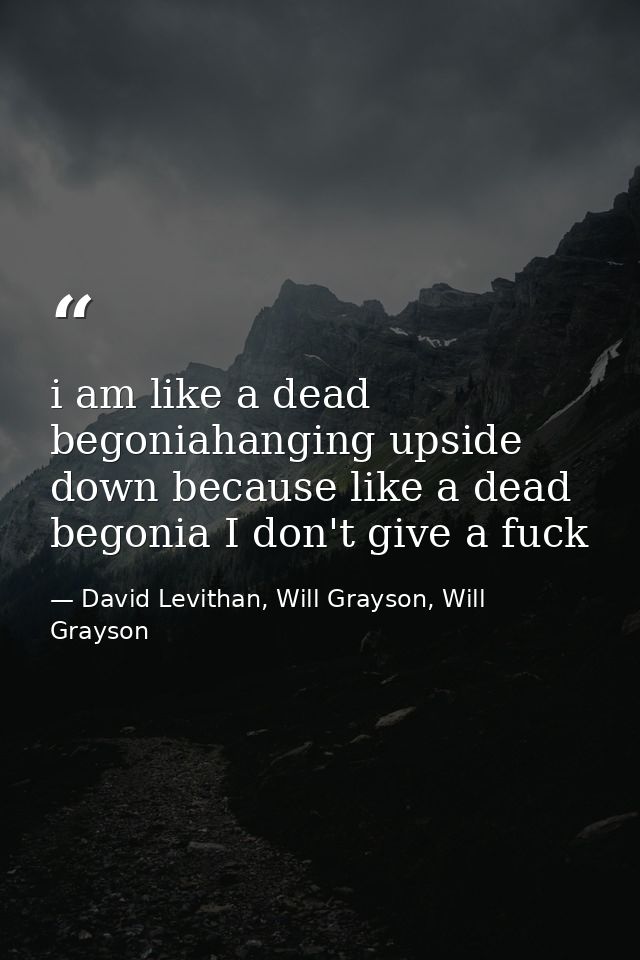 i am like a dead begoniahanging upside down because like a dead begonia I don't give a fuck — David Levithan, Will Grayson, Will Grayson
