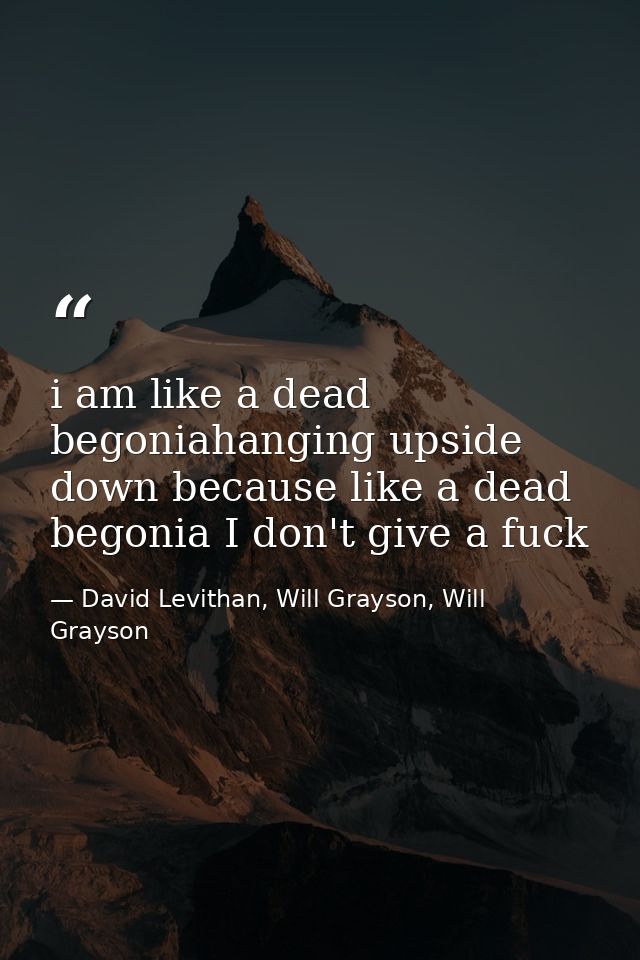 i am like a dead begoniahanging upside down because like a dead begonia I don't give a fuck — David Levithan, Will Grayson, Will Grayson