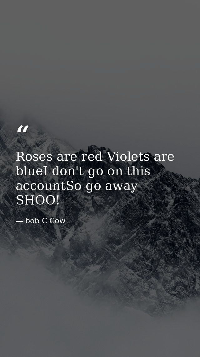 Roses are red Violets are blueI don't go on this accountSo go away SHOO! — bob C Cow