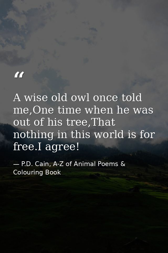 A wise old owl once told me,One time when he was out of his tree,That nothing in this world is for free.I agree! — P.D. Cain, A-Z of Animal Poems & Colouring Book