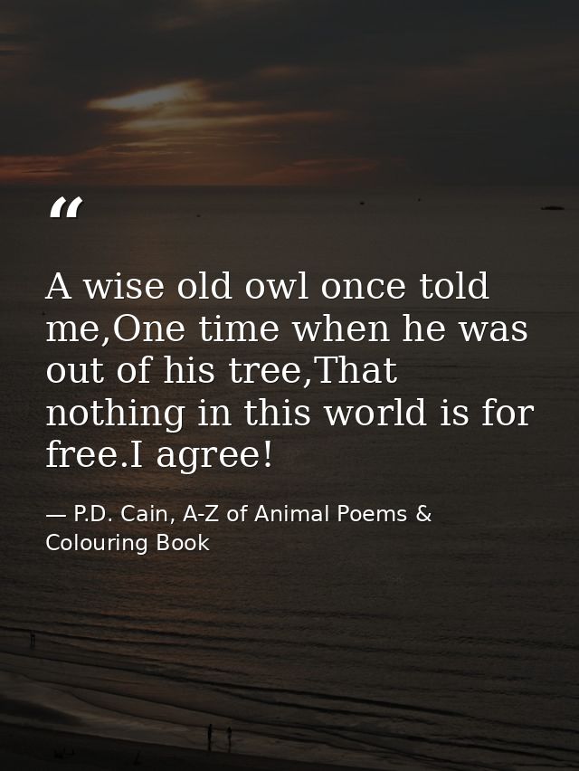A wise old owl once told me,One time when he was out of his tree,That nothing in this world is for free.I agree! — P.D. Cain, A-Z of Animal Poems & Colouring Book
