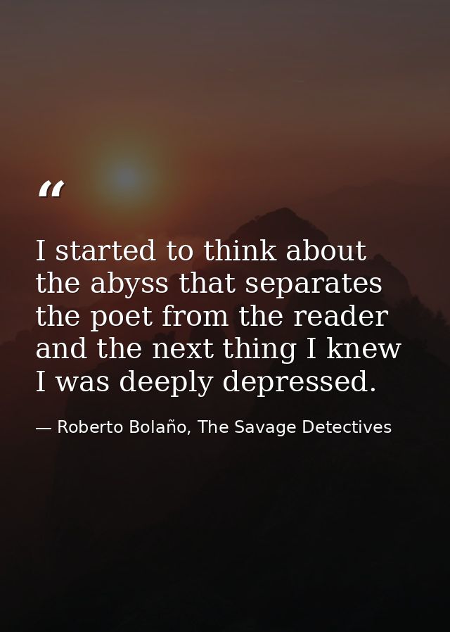 I started to think about the abyss that separates the poet from the reader and the next thing I knew I was deeply depres — Roberto Bolaño, The Savage Detectives