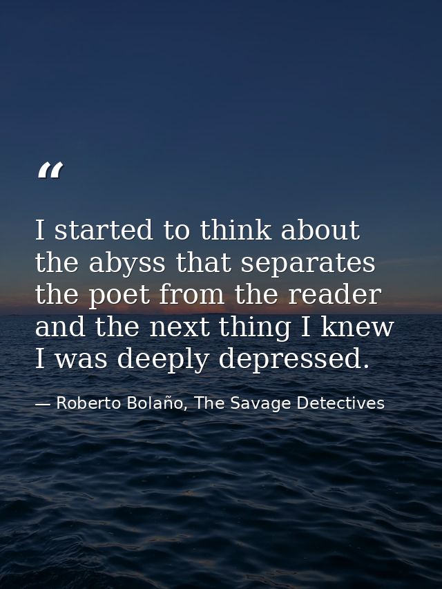 I started to think about the abyss that separates the poet from the reader and the next thing I knew I was deeply depres — Roberto Bolaño, The Savage Detectives