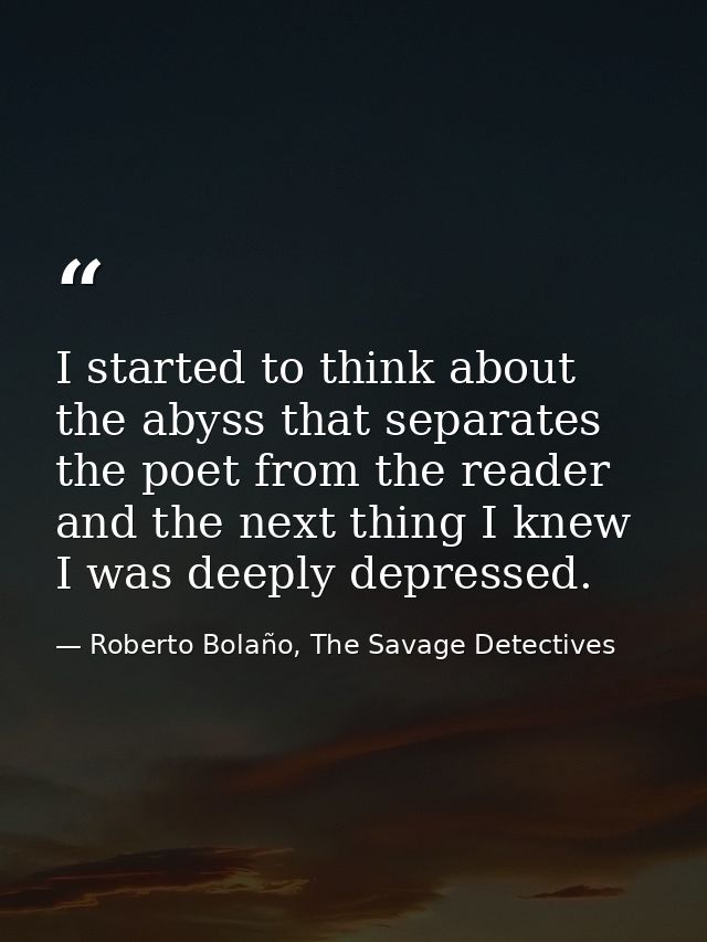 I started to think about the abyss that separates the poet from the reader and the next thing I knew I was deeply depres — Roberto Bolaño, The Savage Detectives