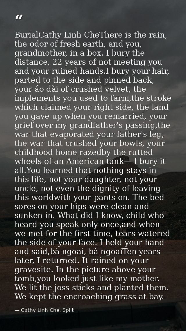 BurialCathy Linh CheThere is the rain, the odor of fresh earth, and you, grandmother, in a box. I bury the distance, 22  — Cathy Linh Che, Split