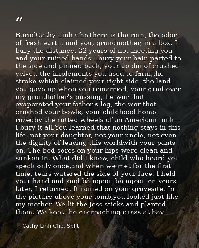 BurialCathy Linh CheThere is the rain, the odor of fresh earth, and you, grandmother, in a box. I bury the distance, 22  — Cathy Linh Che, Split