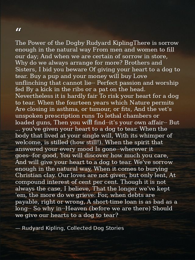 The Power of the Dogby Rudyard KiplingThere is sorrow enough in the natural way From men and women to fill our day; And  — Rudyard Kipling, Collected Dog Stories