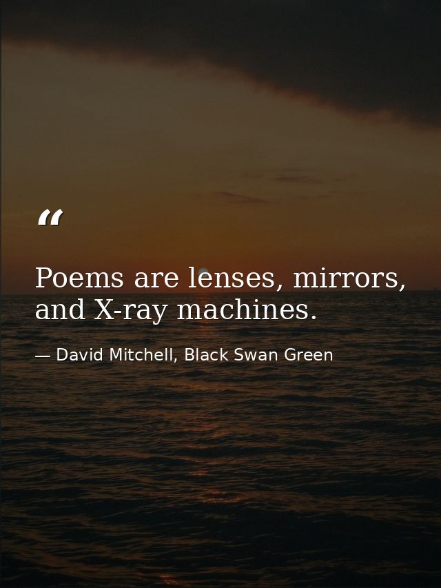 Poems are lenses, mirrors, and X-ray machines. — David Mitchell, Black Swan Green