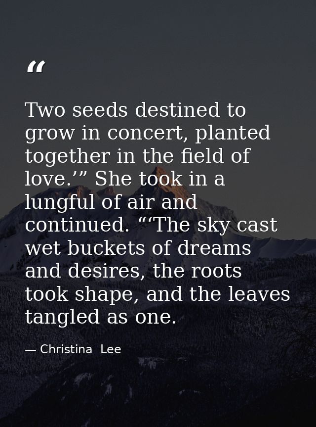 Two seeds destined to grow in concert, planted together in the field of love.’” She took in a lungful of air and continu — Christina  Lee