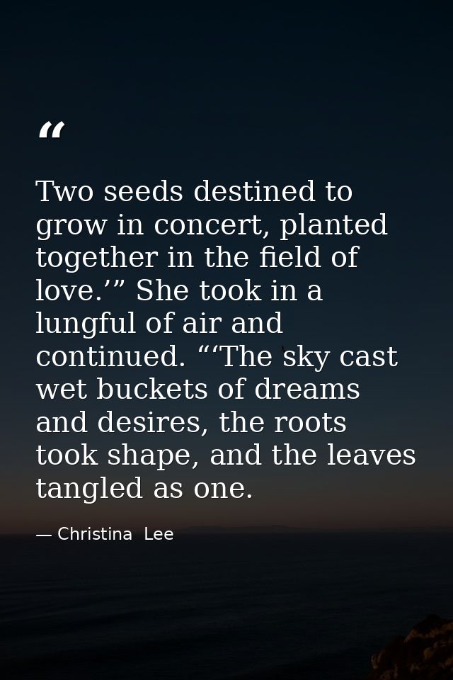Two seeds destined to grow in concert, planted together in the field of love.’” She took in a lungful of air and continu — Christina  Lee