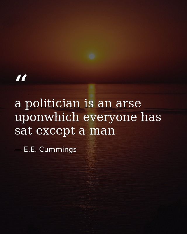 a politician is an arse uponwhich everyone has sat except a man — E.E. Cummings
