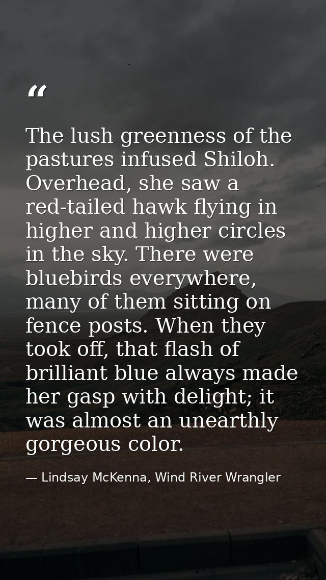 The lush greenness of the pastures infused Shiloh. Overhead, she saw a red-tailed hawk flying in higher and higher circl — Lindsay McKenna, Wind River Wrangler
