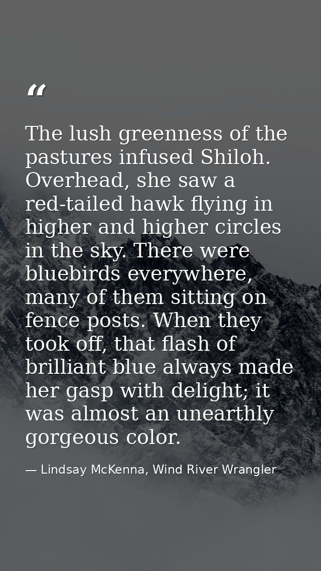 The lush greenness of the pastures infused Shiloh. Overhead, she saw a red-tailed hawk flying in higher and higher circl — Lindsay McKenna, Wind River Wrangler