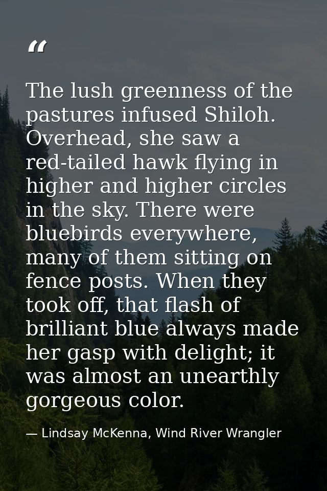 The lush greenness of the pastures infused Shiloh. Overhead, she saw a red-tailed hawk flying in higher and higher circl — Lindsay McKenna, Wind River Wrangler