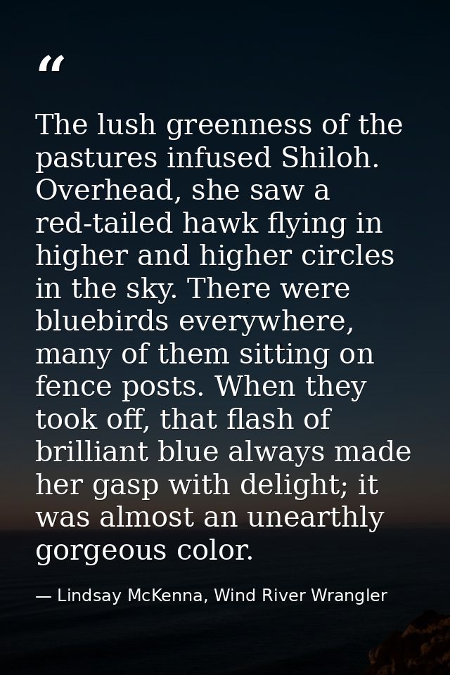 The lush greenness of the pastures infused Shiloh. Overhead, she saw a red-tailed hawk flying in higher and higher circl — Lindsay McKenna, Wind River Wrangler